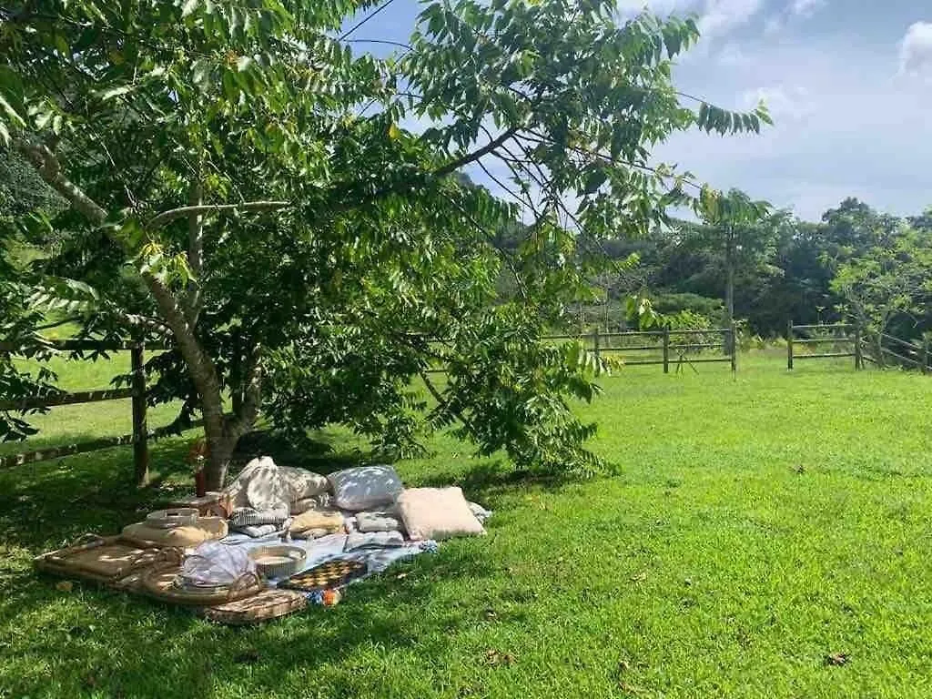 Monte Sagrado Reserve - Wellnesstanama Riverfarm Cabin Quebrada